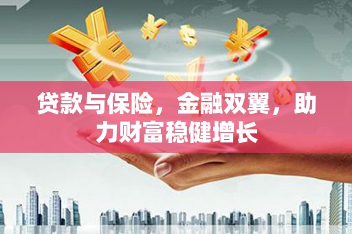 新晃贷款与保险，金融双翼，助力财富稳健增长