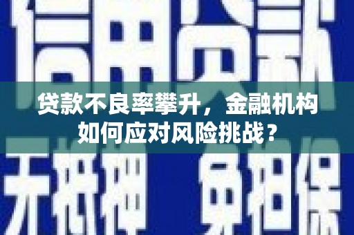 新晃贷款不良率攀升，金融机构如何应对风险挑战？