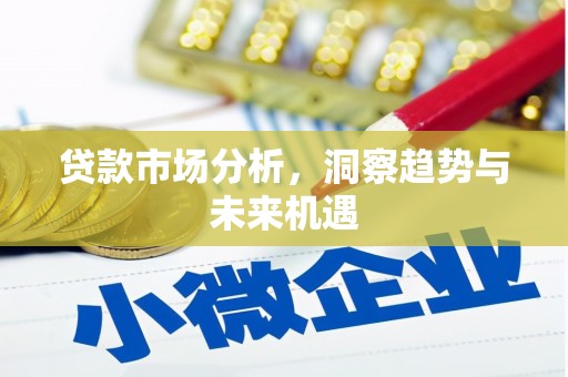 新晃贷款市场分析，洞察趋势与未来机遇
