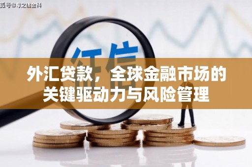 新晃外汇贷款，全球金融市场的关键驱动力与风险管理