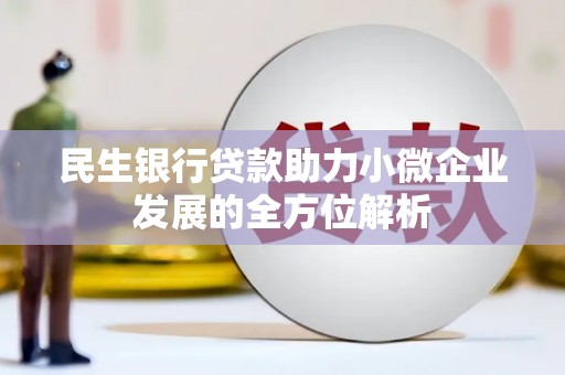 新晃民生银行贷款助力小微企业发展的全方位解析