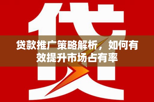 新晃贷款推广策略解析，如何有效提升市场占有率