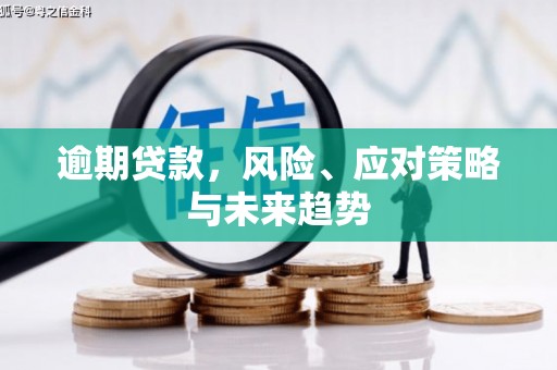新晃逾期贷款，风险、应对策略与未来趋势