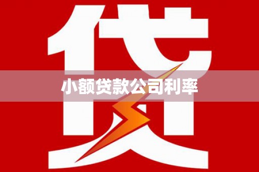 新晃小额贷款公司利率