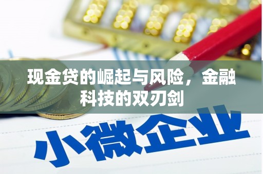 新晃现金贷的崛起与风险，金融科技的双刃剑