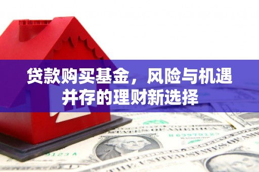 新晃贷款购买基金，风险与机遇并存的理财新选择