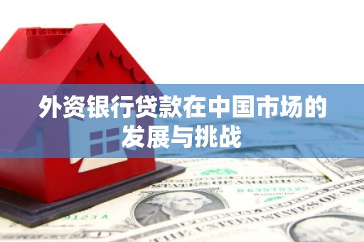 新晃外资银行贷款在中国市场的发展与挑战