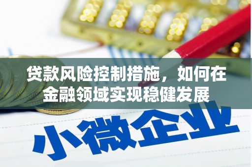 新晃贷款风险控制措施，如何在金融领域实现稳健发展
