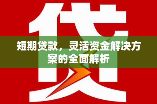 新晃短期贷款，灵活资金解决方案的全面解析