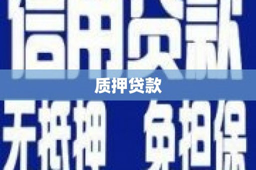 新晃质押贷款