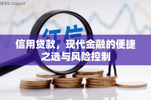 新晃信用贷款，现代金融的便捷之选与风险控制