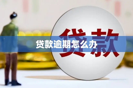 新晃贷款逾期怎么办