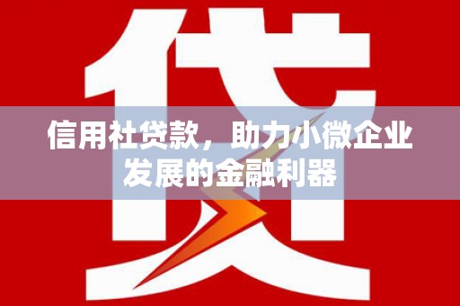 新晃信用社贷款，助力小微企业发展的金融利器