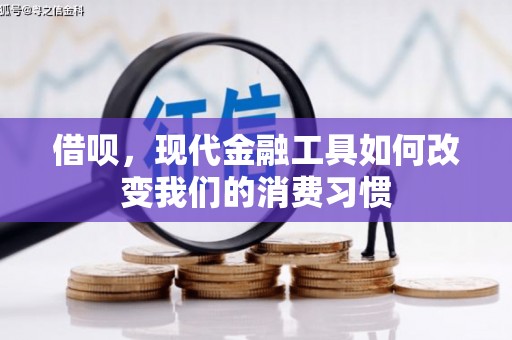 新晃借呗，现代金融工具如何改变我们的消费习惯