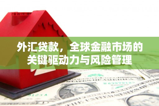 新晃外汇贷款，全球金融市场的关键驱动力与风险管理