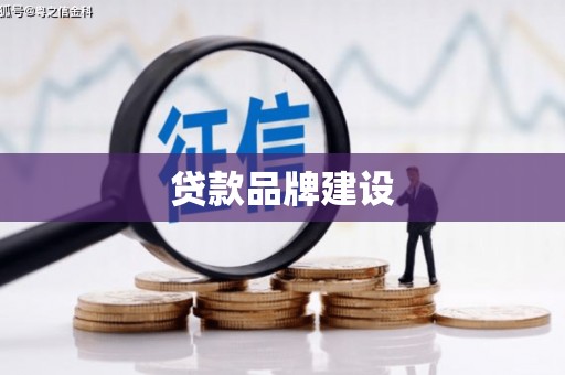 新晃贷款品牌建设
