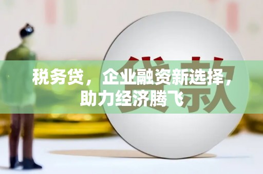 新晃税务贷，企业融资新选择，助力经济腾飞