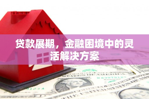 新晃贷款展期，金融困境中的灵活解决方案