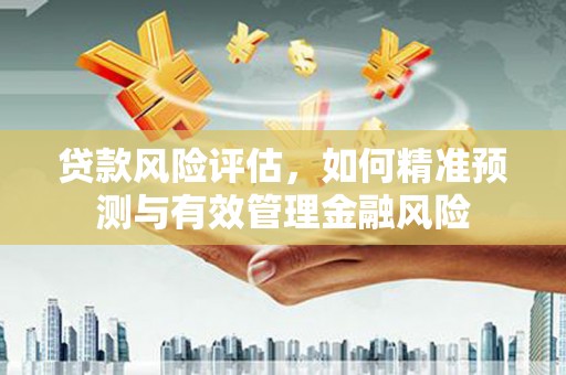新晃贷款风险评估，如何精准预测与有效管理金融风险