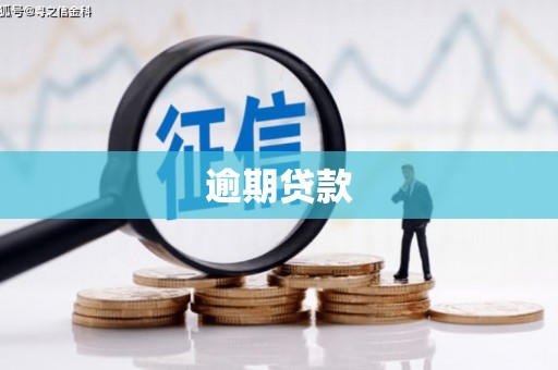 新晃逾期贷款