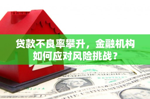 新晃贷款不良率攀升，金融机构如何应对风险挑战？