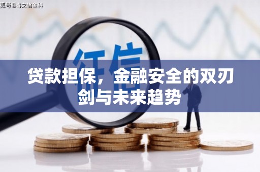 新晃贷款担保，金融安全的双刃剑与未来趋势