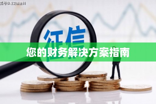 新晃您的财务解决方案指南