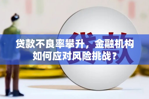 新晃贷款不良率攀升，金融机构如何应对风险挑战？