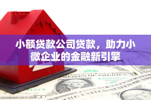新晃小额贷款公司贷款，助力小微企业的金融新引擎