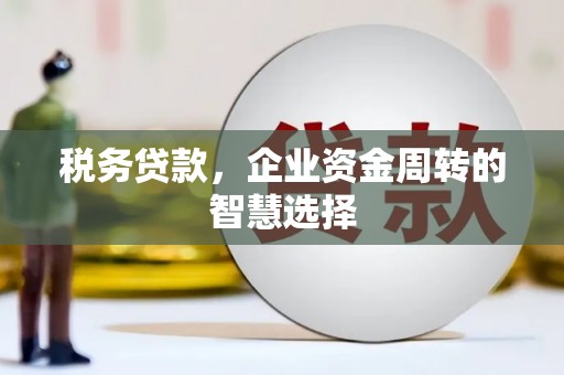 新晃税务贷款，企业资金周转的智慧选择