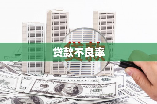 新晃贷款不良率