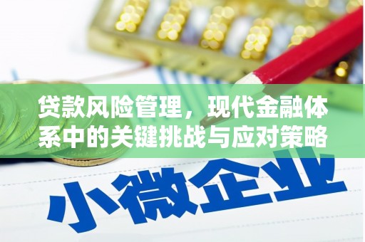 新晃贷款风险管理，现代金融体系中的关键挑战与应对策略