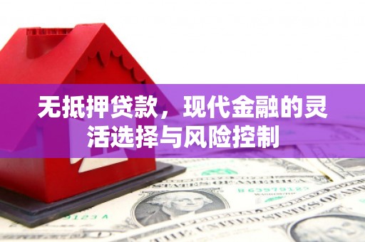 新晃无抵押贷款，现代金融的灵活选择与风险控制