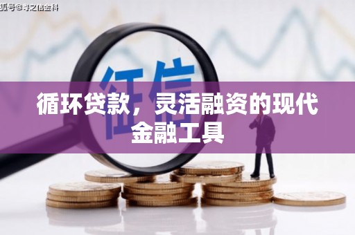 新晃循环贷款，灵活融资的现代金融工具
