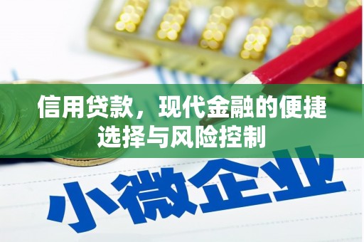 新晃信用贷款，现代金融的便捷选择与风险控制