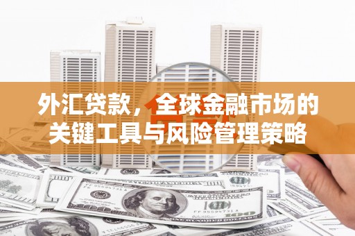 新晃外汇贷款，全球金融市场的关键工具与风险管理策略