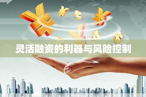 新晃灵活融资的利器与风险控制
