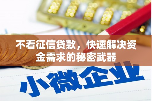 新晃不看征信贷款，快速解决资金需求的秘密武器