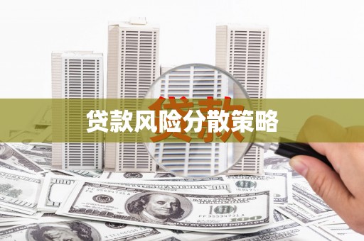 新晃贷款风险分散策略