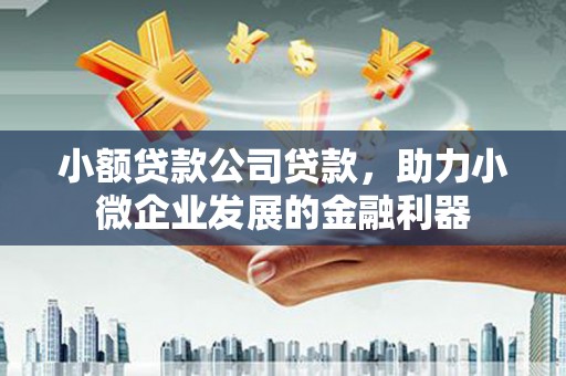 新晃小额贷款公司贷款，助力小微企业发展的金融利器