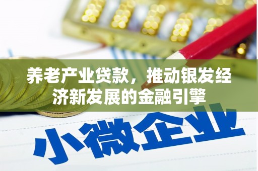 新晃养老产业贷款，推动银发经济新发展的金融引擎