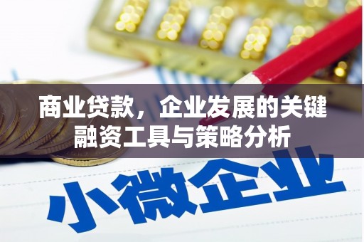 新晃商业贷款，企业发展的关键融资工具与策略分析