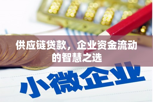 新晃供应链贷款，企业资金流动的智慧之选