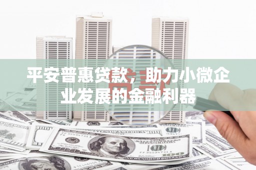 新晃平安普惠贷款，助力小微企业发展的金融利器