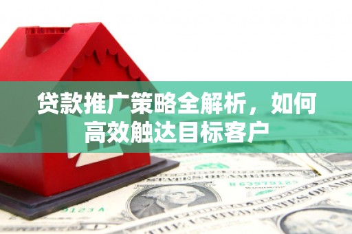 新晃贷款推广策略全解析，如何高效触达目标客户