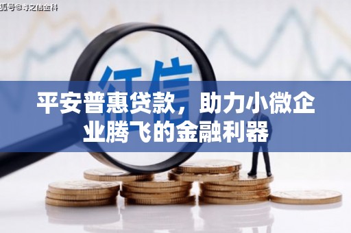 新晃平安普惠贷款，助力小微企业腾飞的金融利器