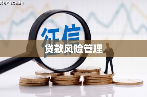新晃贷款风险管理