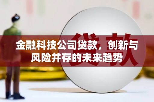 新晃金融科技公司贷款，创新与风险并存的未来趋势