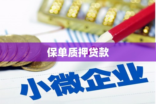 新晃保单质押贷款