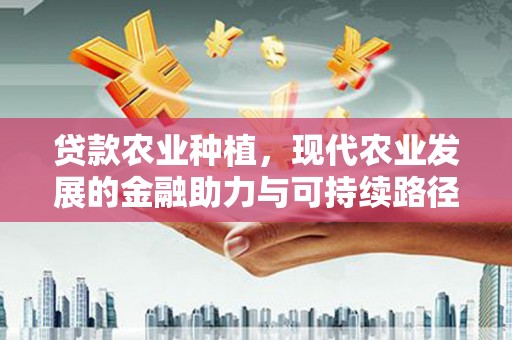 新晃贷款农业种植，现代农业发展的金融助力与可持续路径